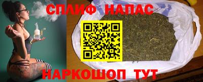 стаф Краснодар