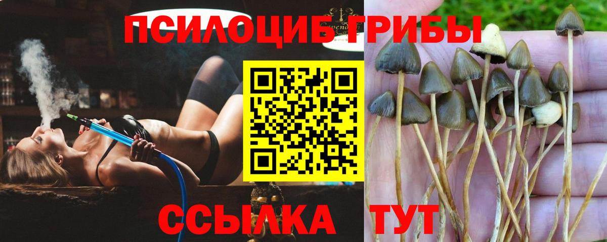 Псилоцибиновые грибы Magic Shrooms  Вход с VPN  Каменка 